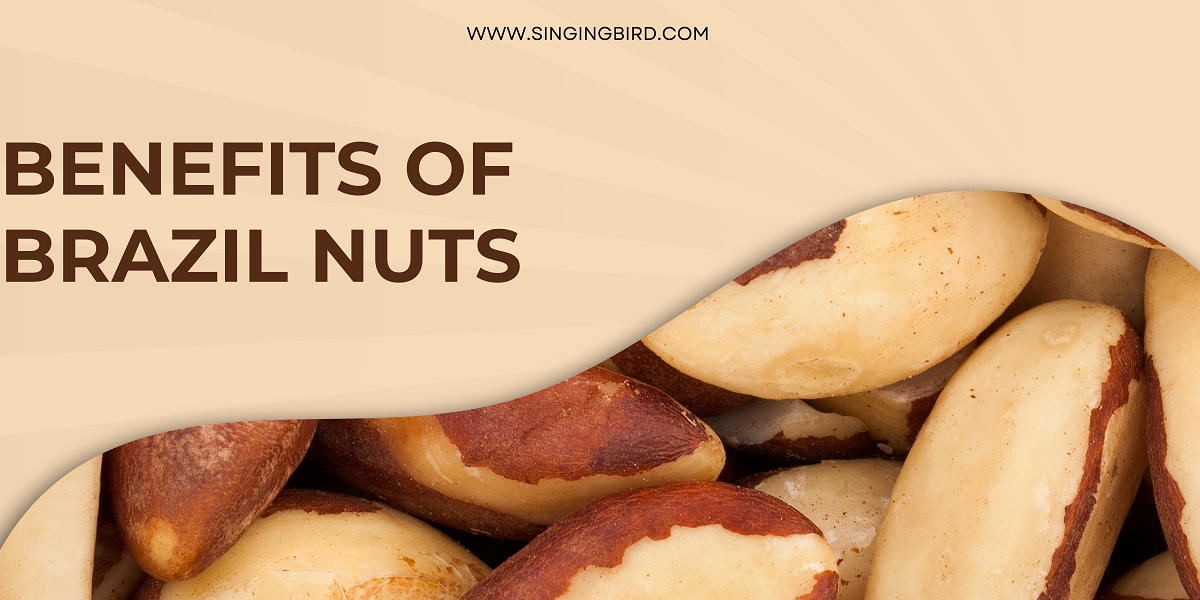 Brazil nut benefits