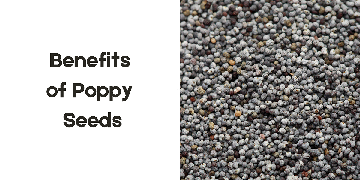 Health Benefits of Poppy Seeds