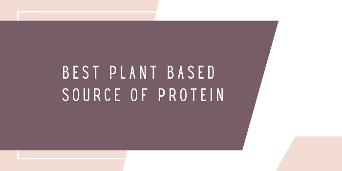 plant based protein